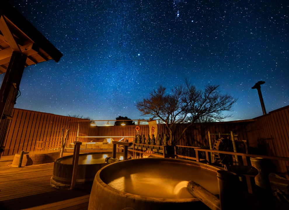 国民宿舎さんべ荘ペア宿泊券